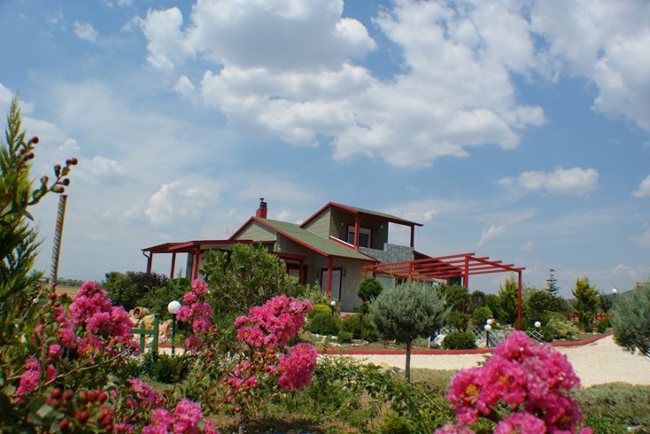 Realty photo 3