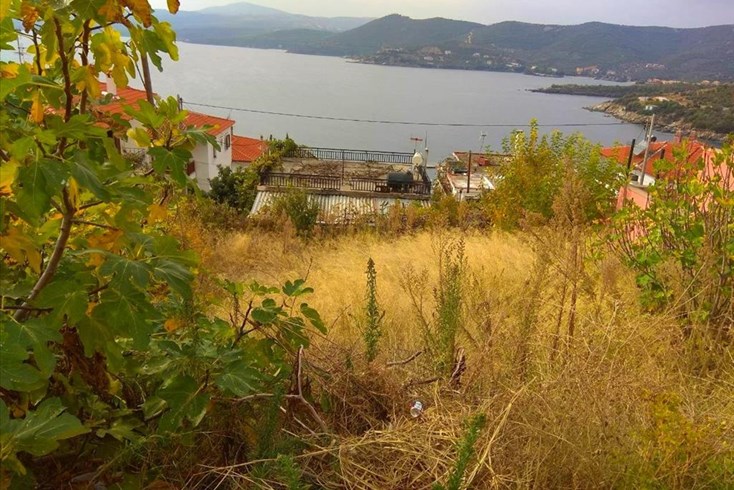 Realty photo 3