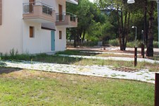 Property 271 photo 3