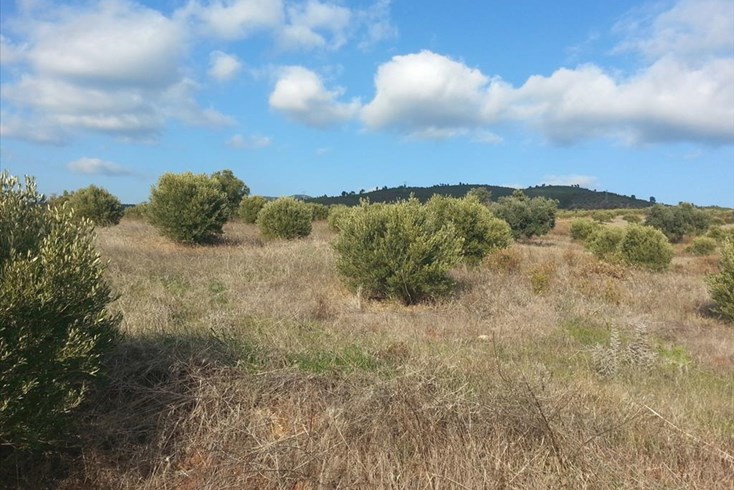 Realty photo 2