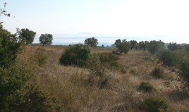 Zemljište 13828 m² na Sitoniji (Halkidiki)
