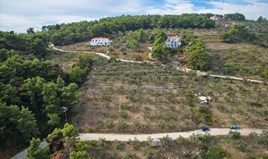 Land 2564 m² in the Sporades