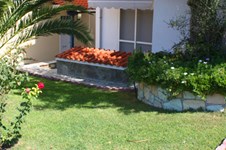 Property 272 photo 6