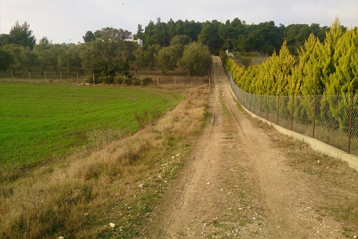 Realty photo 2