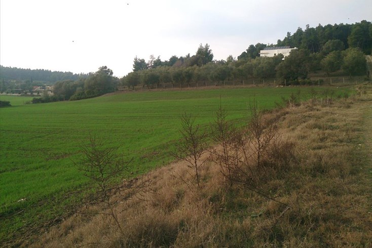 Realty photo 3