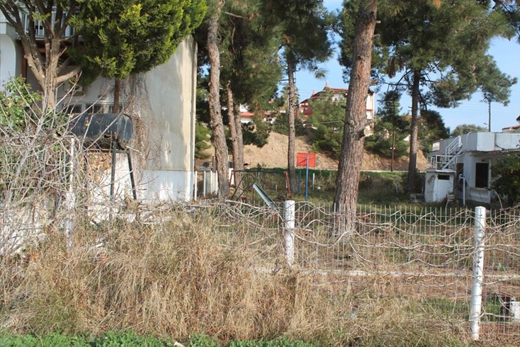Realty photo 3