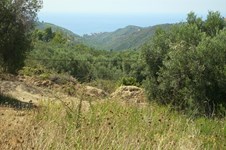 Property 2743 photo 1