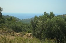 Property 2743 photo 2