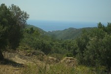 Property 2743 photo 3