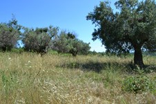 Property 2743 photo 5