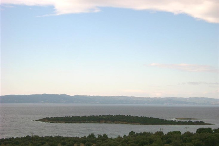 Realty photo 2