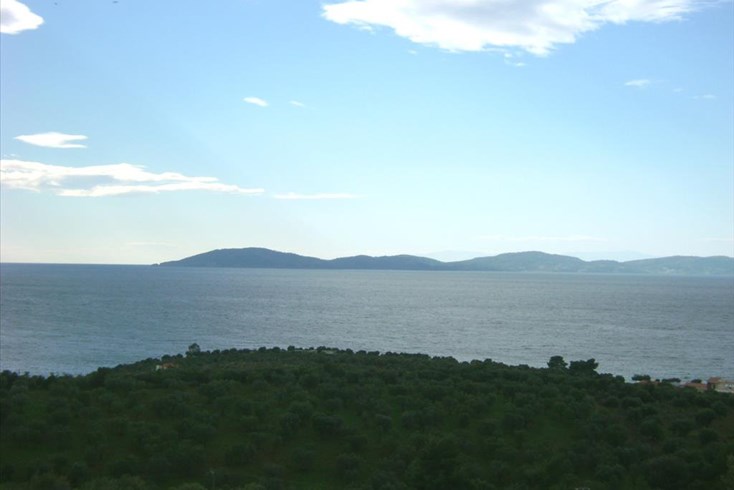 Realty photo 3