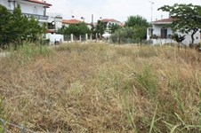 Property 275 photo 2