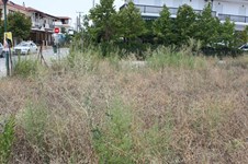 Property 275 photo 4