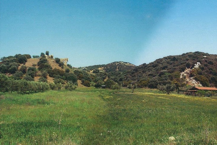 Realty photo 1