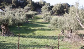Zemljište na Kasandri (Halkidiki)