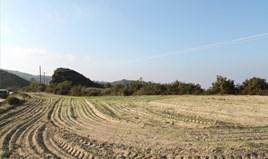 Парцел 6350 m² в Касандра (Халкидики)