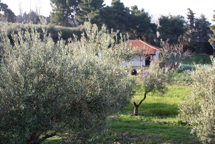 Realty photo 3