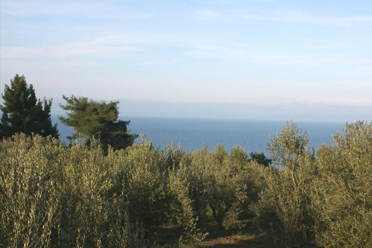 Realty photo 1