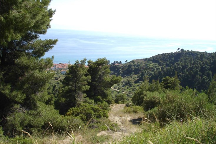 Realty photo 1