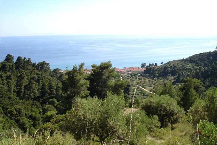 Realty photo 2