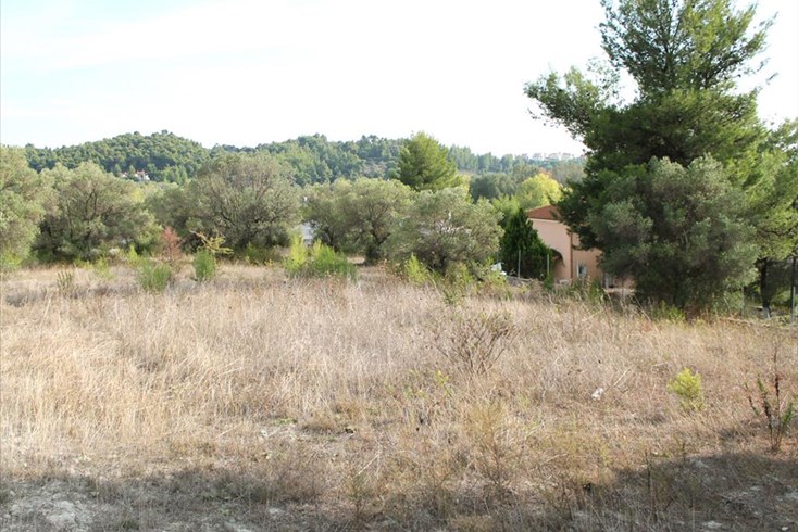 Realty photo 2