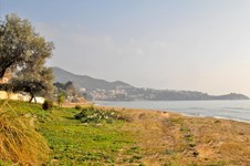 Property 2788 photo 16