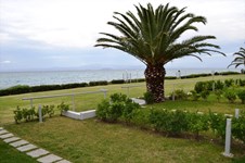 Property 279 photo 26