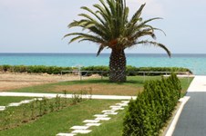 Property 279 photo 12