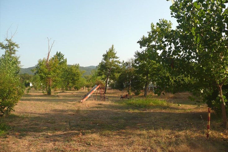 Realty photo 3
