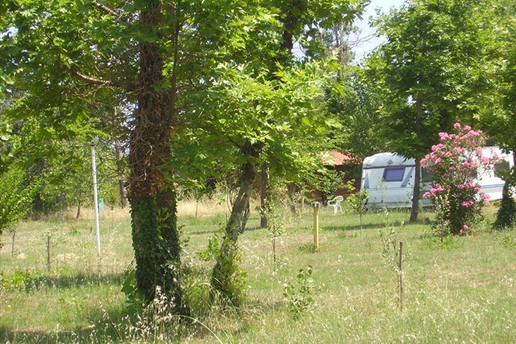 Realty photo 1