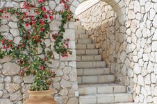 Property 2811 photo 13