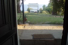 Property 2818 photo 17