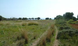 Land in Peloponnese