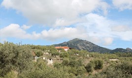 Land 4620 m² in Sithonia, Chalkidiki