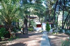 Property 2824 photo 9