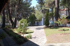 Property 2824 photo 5