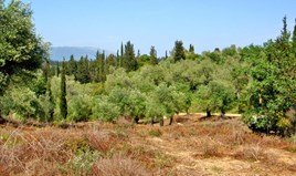 Land in Corfu