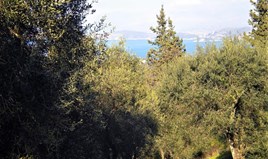 Γη 4900 μ² στην Κέρκυρα