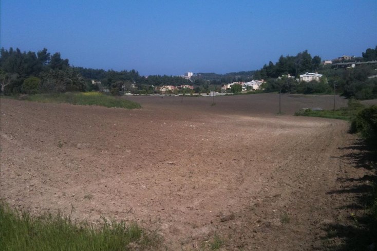 Realty photo 2