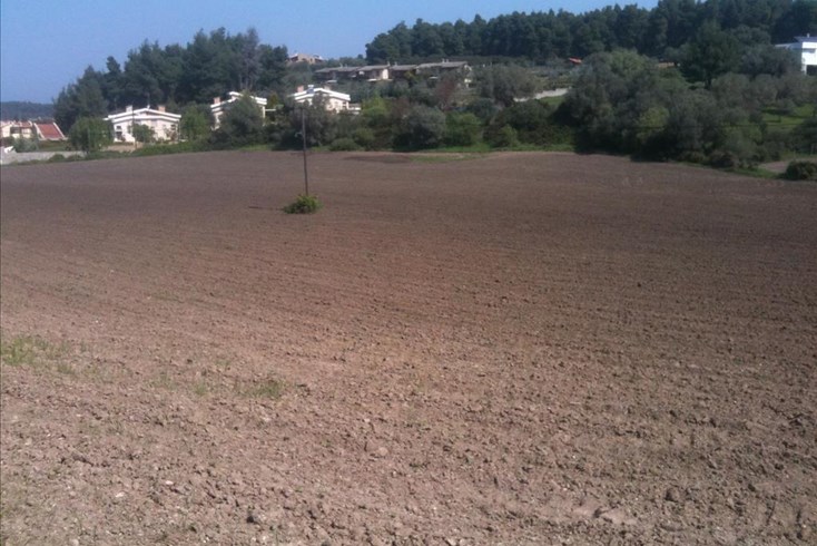 Realty photo 3
