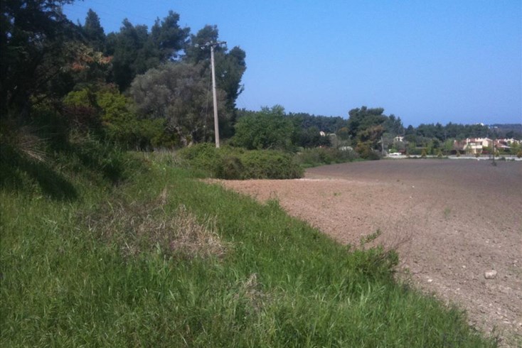 Realty photo 1