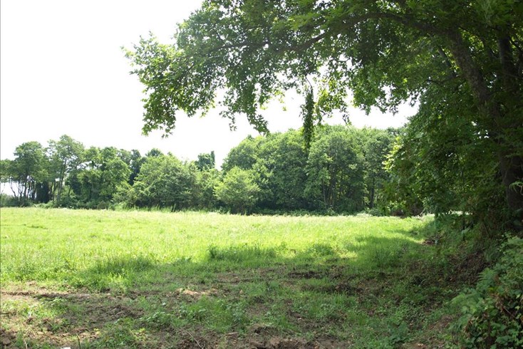 Realty photo 3