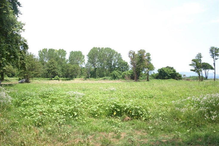 Realty photo 2