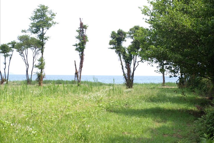 Realty photo 1