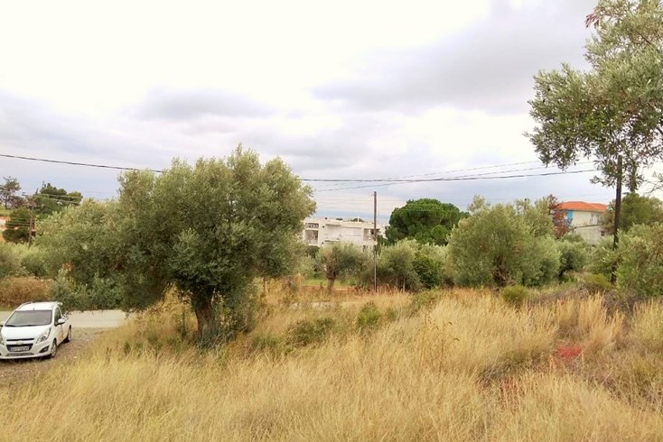 Realty photo 2