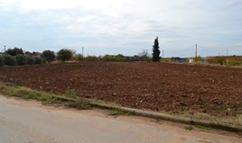 Land 6750 m² in Chalkidiki
