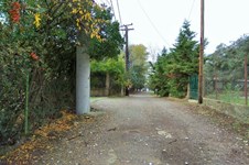 Property 28688 photo 8