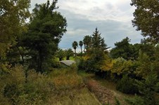 Property 28688 photo 4