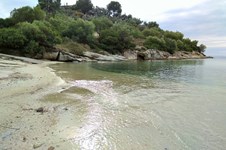 Property 28688 photo 10